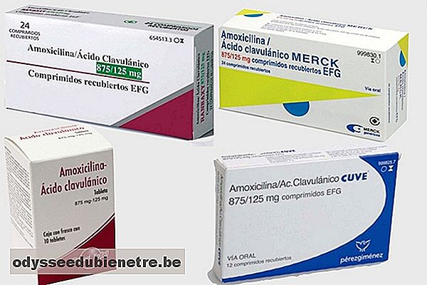 Antibiótico Amoxicilina + Ácido clavulânico