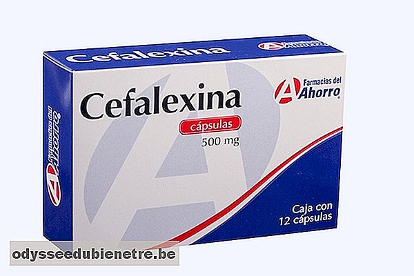 Como tomar o Antibiótico Cefalexina