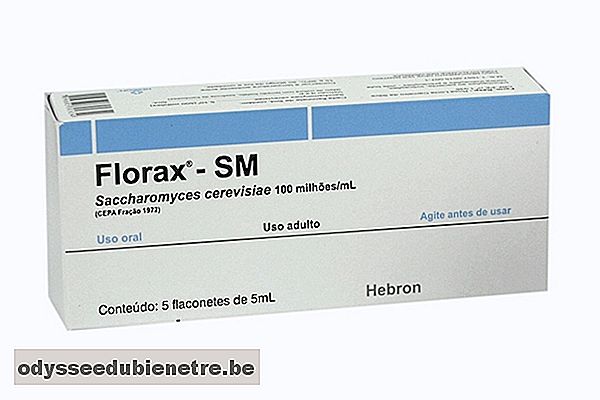 Saccharomyces Cerevisiae (Florax)
