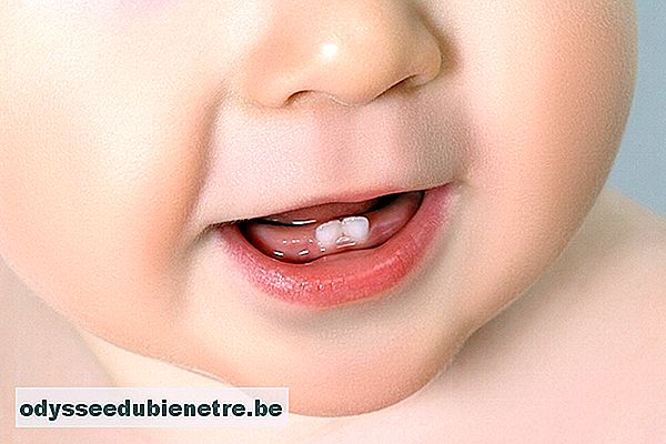Quando nascem os dentinhos do bebê