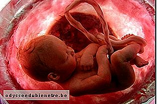 Desenvolvimento do bebê - 35 semanas de gestação