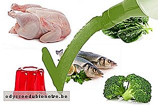 Alimentos permitidos na dieta da proteína magra