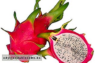 Pitaya: Saiba os benefícios e como consumir a fruta do momento
