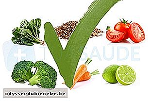 Alimentos de origem vegetal permitidos na dieta da proteína