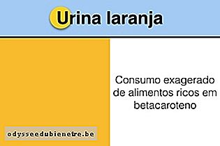 Principais causas da urina laranja