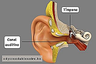 Como limpar o ouvido sem cotonete