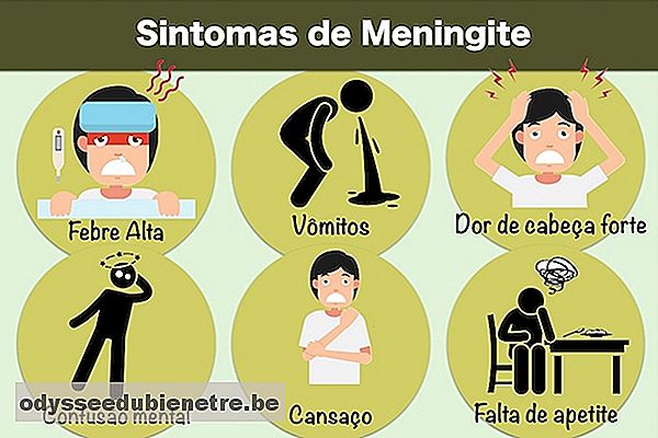 Sintomas de Meningite no adulto