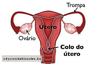 Localização do útero e colo do útero