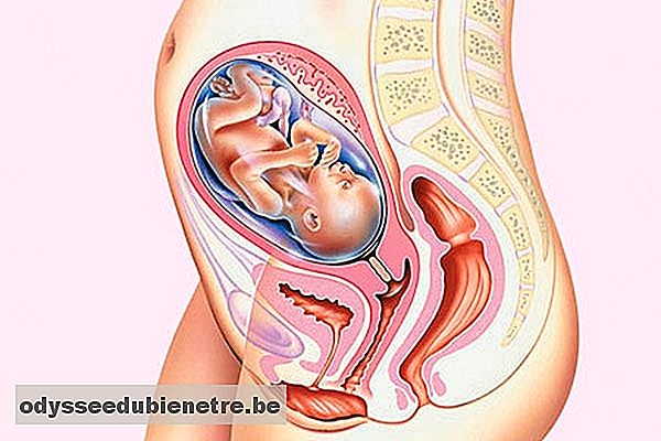 Desenvolvimento do bebê - 25 semanas de gestação