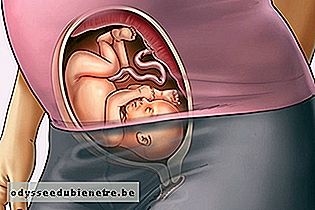 Desenvolvimento do bebê - 26 semanas de gestação