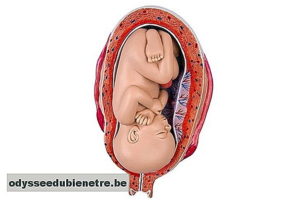 Desenvolvimento do bebê - 32 semanas de gestação