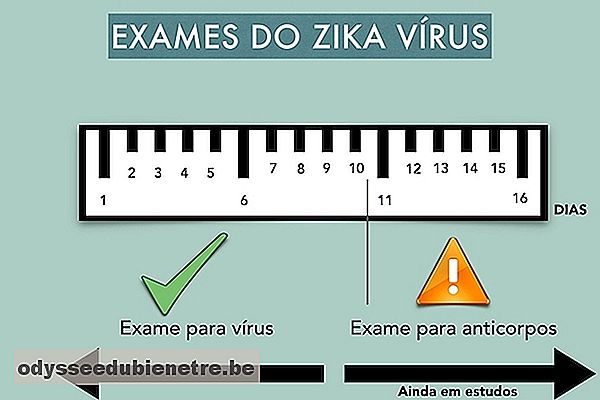 Como a Zika pode afetar a gravidez