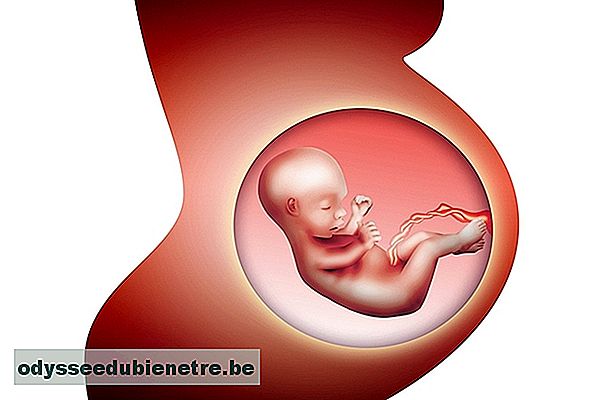 Como identificar a infecção intra-uterina no bebê