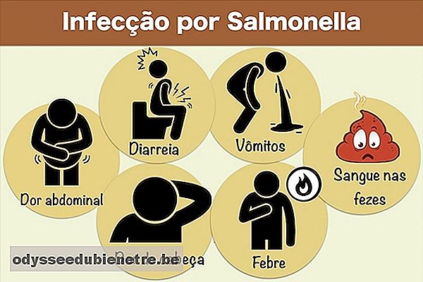 Sintomas de infecção por Salmonella
