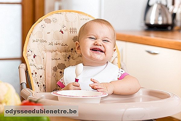 4 Receitas de Papinhas para bebês de 10 meses