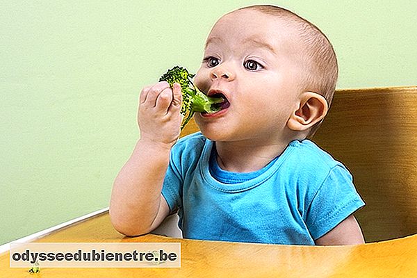 Como iniciar a Alimentação do Bebê com o método BLW