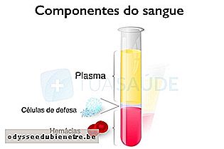 Separação do plasma do restante do sangue