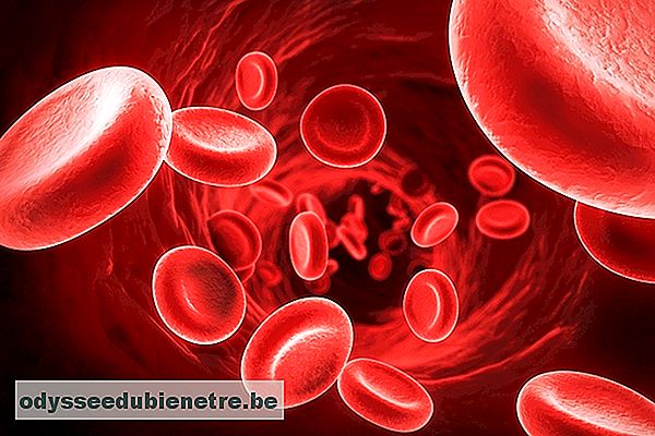 Glóbulos vermelhos do sangue que carregam hemoglobina
