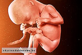 Desenvolvimento do bebê - 17 semanas de gestação