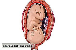 Desenvolvimento do bebê - 29 semanas de gestação