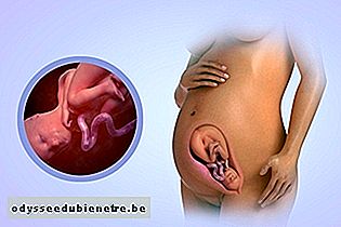 Desenvolvimento do bebê - 30 semanas de gestação