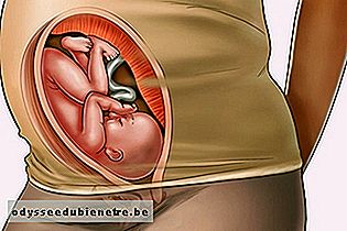 Desenvolvimento do bebê - 30 semanas de gestação