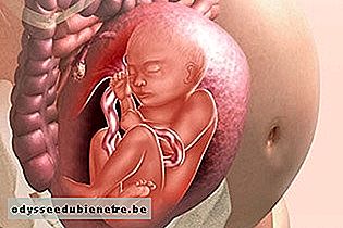 Desenvolvimento do bebê - 31 semanas de gestação