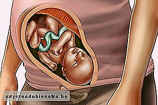 Desenvolvimento do bebê - 33 semanas de gestação