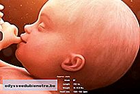 Desenvolvimento do bebê - 37 semanas de gestação