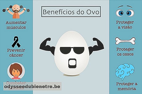 Comer ovo diariamente faz mal à saúde?