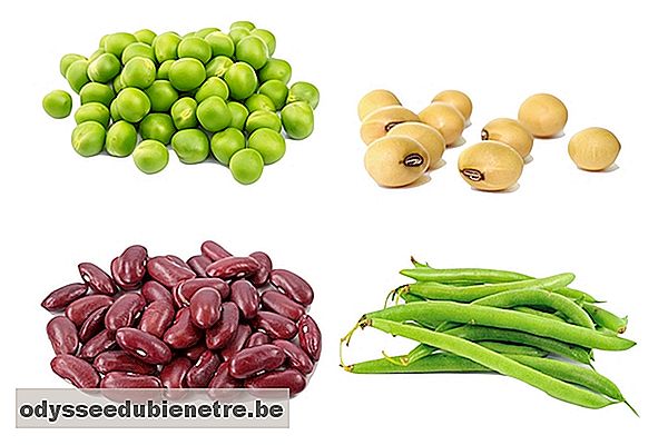 Alimentos ricos em proteína vegetal