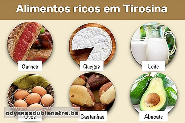 Alimentos ricos em Tirosina