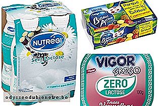 Exemplos de iogurte para intolerantes a lactose