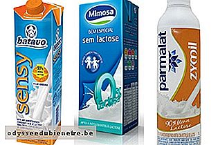 Exemplos de leite sem lactose