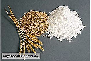 Trigo e farinha de trigo - Cereais com glúten