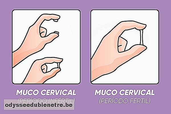 Características do muco cervical