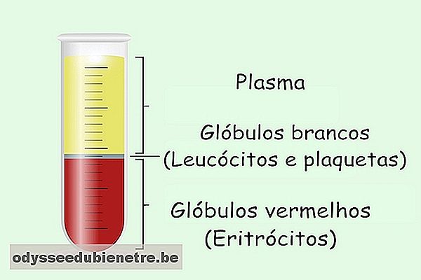Componentes do sangue e suas Funções