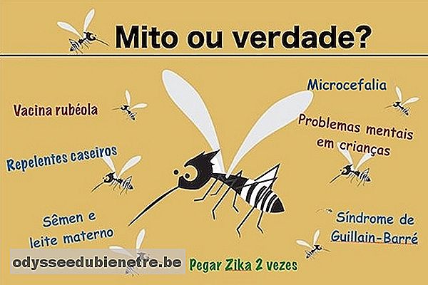 Tudo o que você precisa saber sobre a Zika