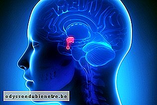 Localização da glândula pituitária no cérebro