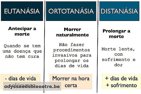 Diferença entre os conceitos