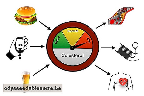 Principais causas e consequências do colesterol alto