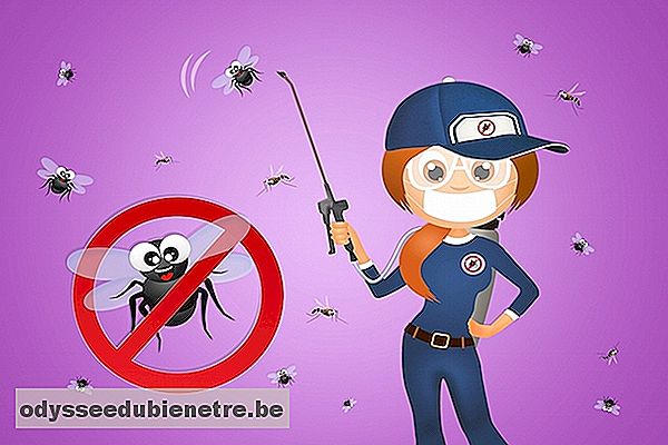 5 Inseticidas naturais para se proteger da Dengue