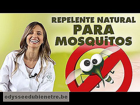 Imagem ilustrativa do vídeo: Repelente natural para febre amarela (afaste os mosquitos!)