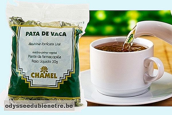Chá de Pata-de-Vaca para Diabetes