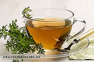 Chá de Arruda para Vermes
