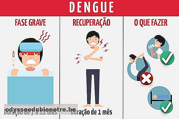 5 Doenças que podem ser Causadas pela Dengue