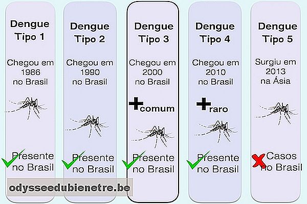 Saiba quais são os diferentes Tipos de Dengue