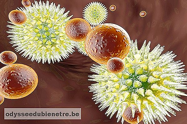 Células de defesa atacando vírus