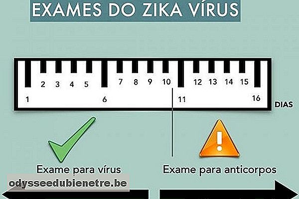 Como saber se está com Zika - Sintomas e Exames