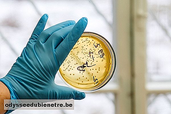 Staphylococcus aureus: sintomas, doenças, diagnóstico e como é feito o tratamento